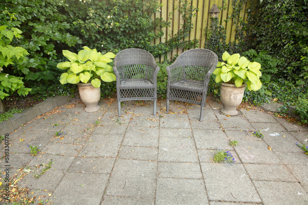 A beautiful lush green garden with two and chairs in a backyard on a sunny day. Vibrant patio with s