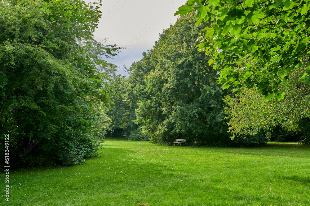 A serene, cultivated forest garden with seating for rest and relaxation. Beautiful green lawn of gra