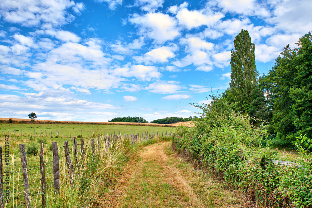 A countryside dirt road leading to agriculture fields or farm pasture in remote area location with b