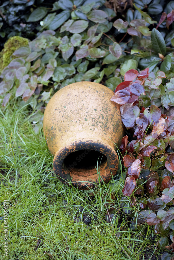 A single, old, vintage and decorative ceramic pot lying on long, uncut green grass in a domestic gar