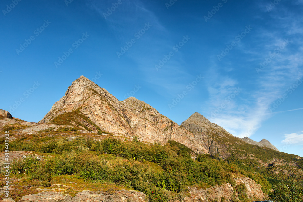 蓝天背景下的山脉风景，复制空间。植物的壮丽景色