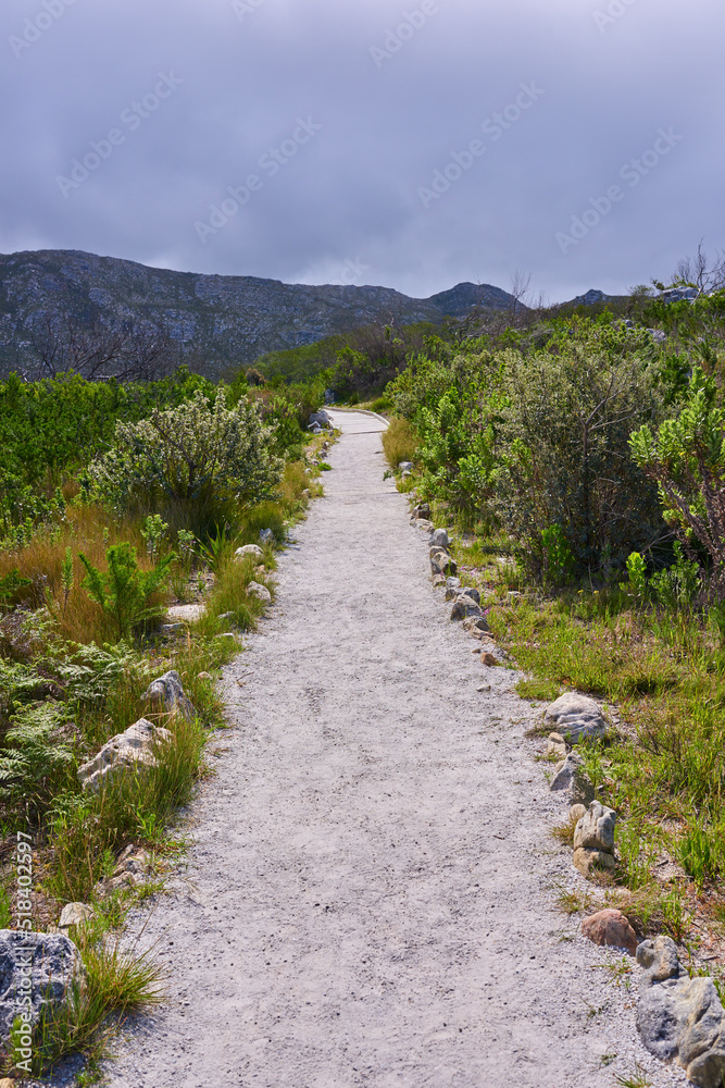 A path in a nature and plant conservation park on an overcast afternoon. Beautiful landscape of a fo