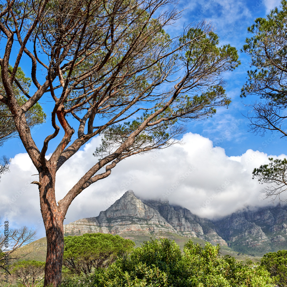 Scenic landscape of Table Mountain in Cape Town, South Africa against cloudy blue sky copy space. Sc