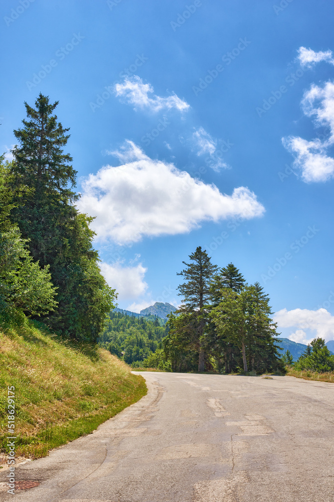 蜿蜒的开阔道路或街道，穿过绿色的高大树木，天空多云。小路的景观视图