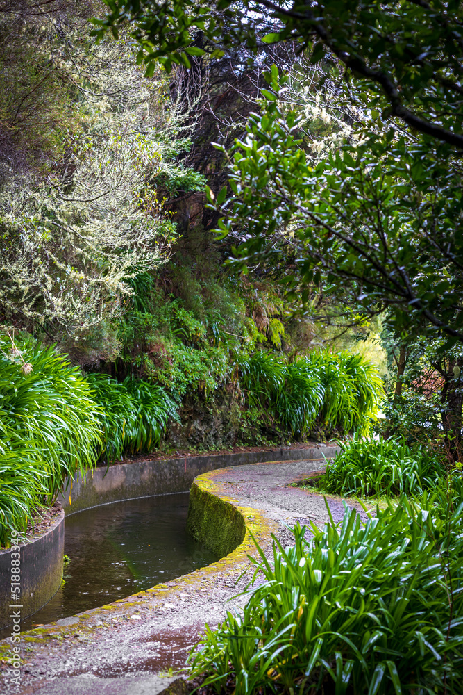 beautiful Madeira landscape