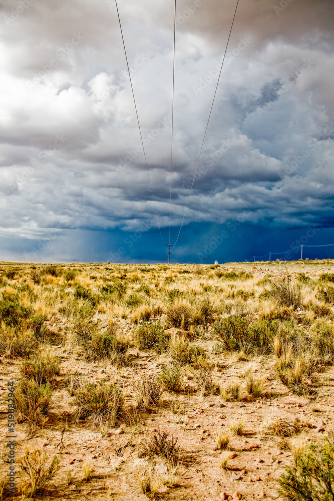 Nature of Bolivia. Landscapes of the LaPaz - Uyuni Road, Bolivia