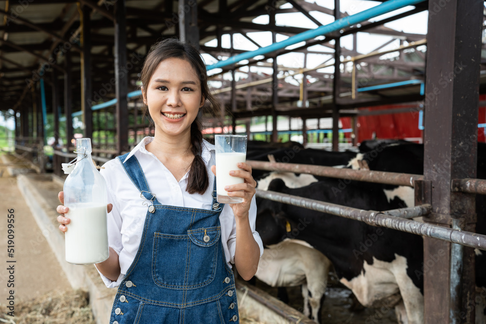 Portrait of Asian female dairy farmer hold bottle of milk in cowshed. 