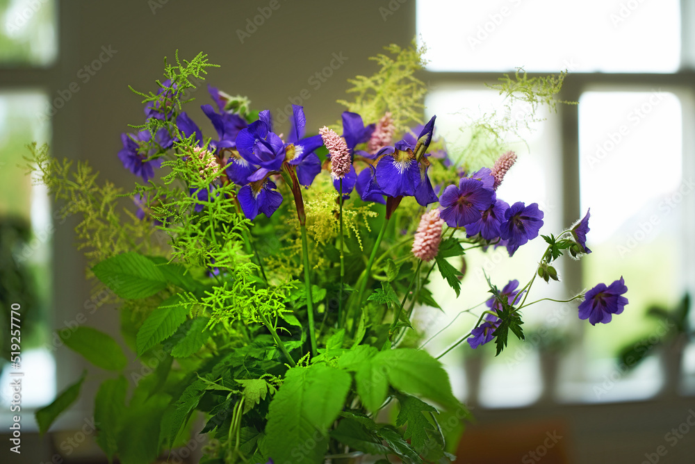 花瓶里五颜六色的紫色花束照亮了家。新鲜的西伯利亚鸢尾花盛开