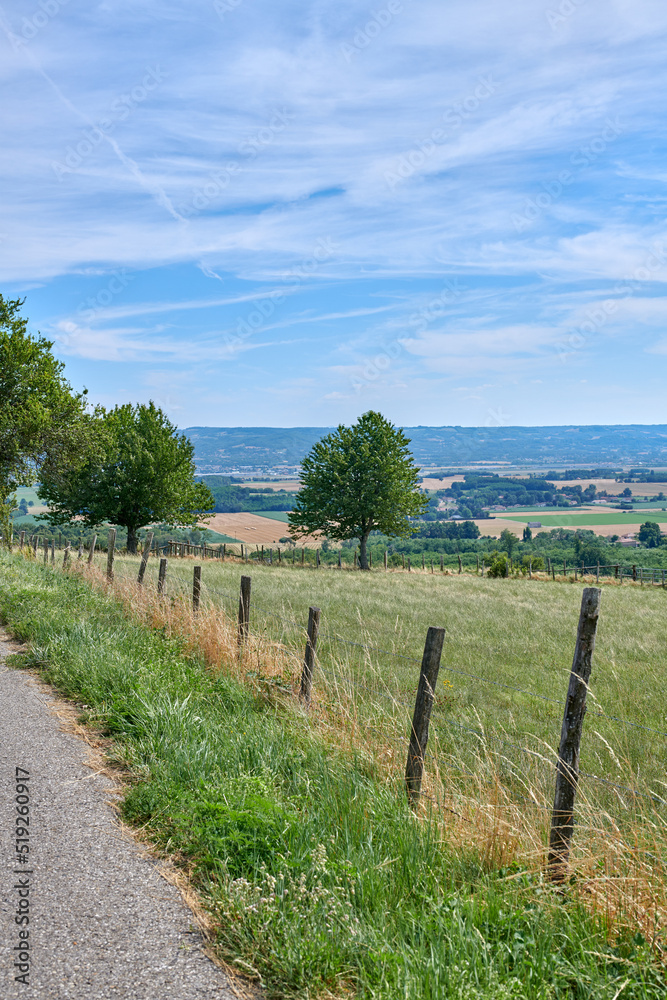 Farm with lush meadow and hills in the countryside against a cloudy blue sky copyspace background. S