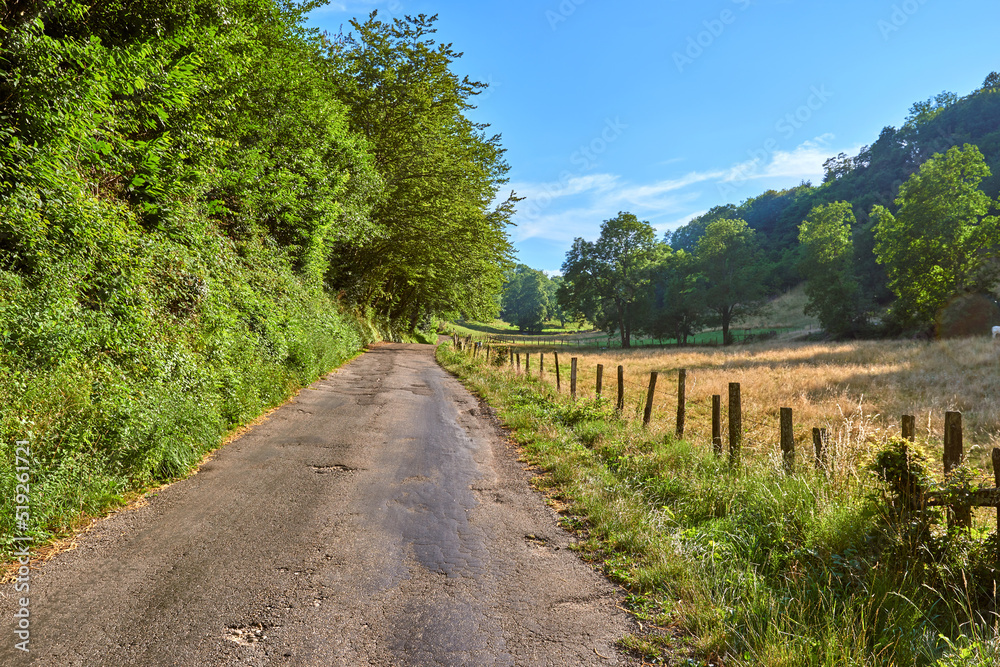 蓝天背景下绿色乡村的自然景观。自然景观中的孤立道路