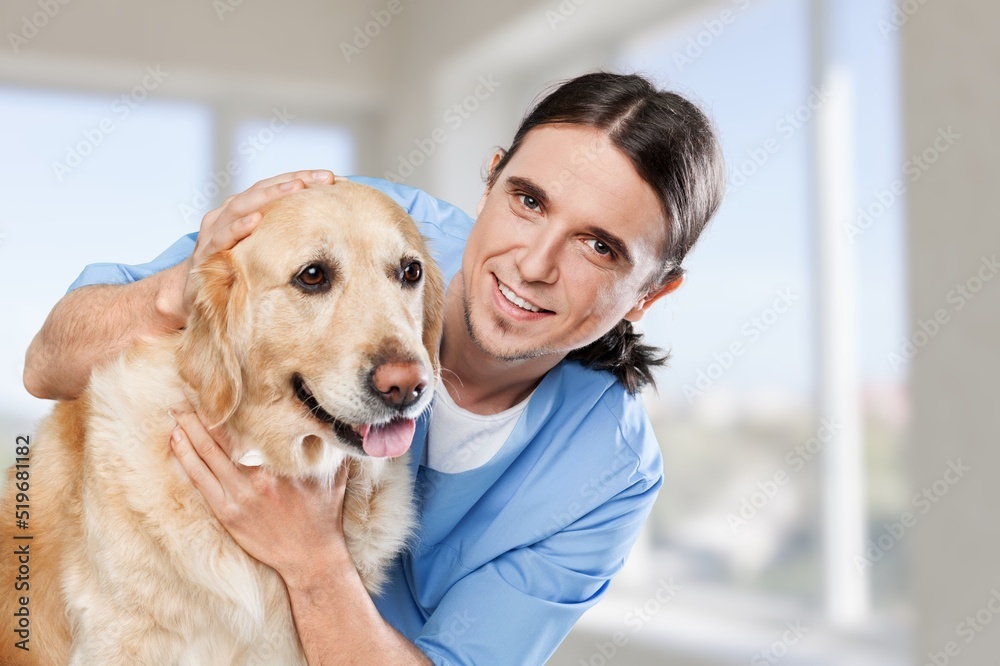 Veterinary near dogs in clinic. Animal treatment