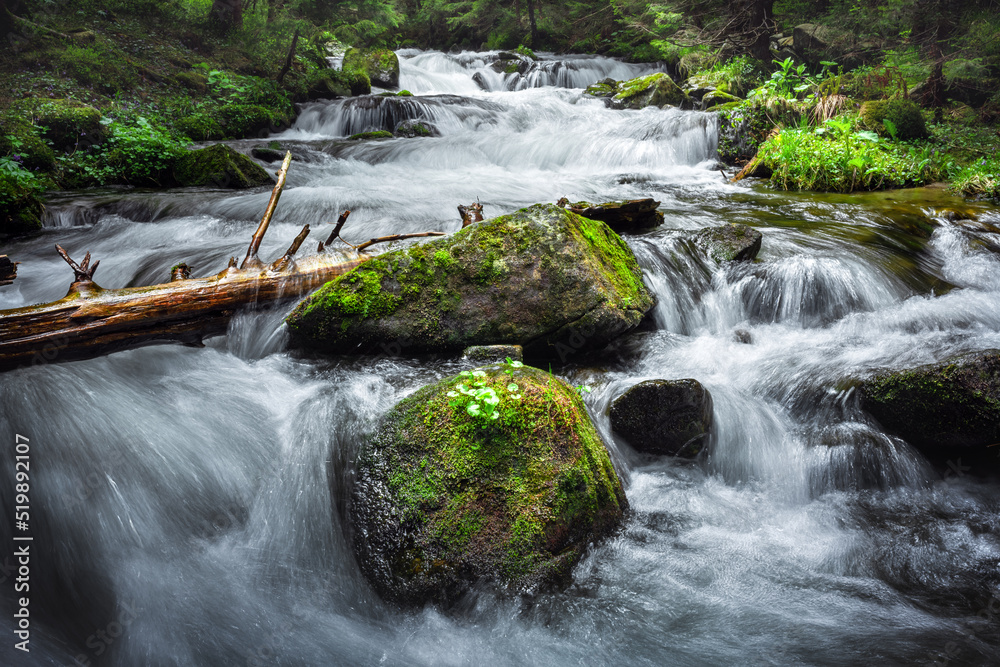 Beauty waterfall on mountain in summer time. Flowing water in the lush forest. Wilderness scene