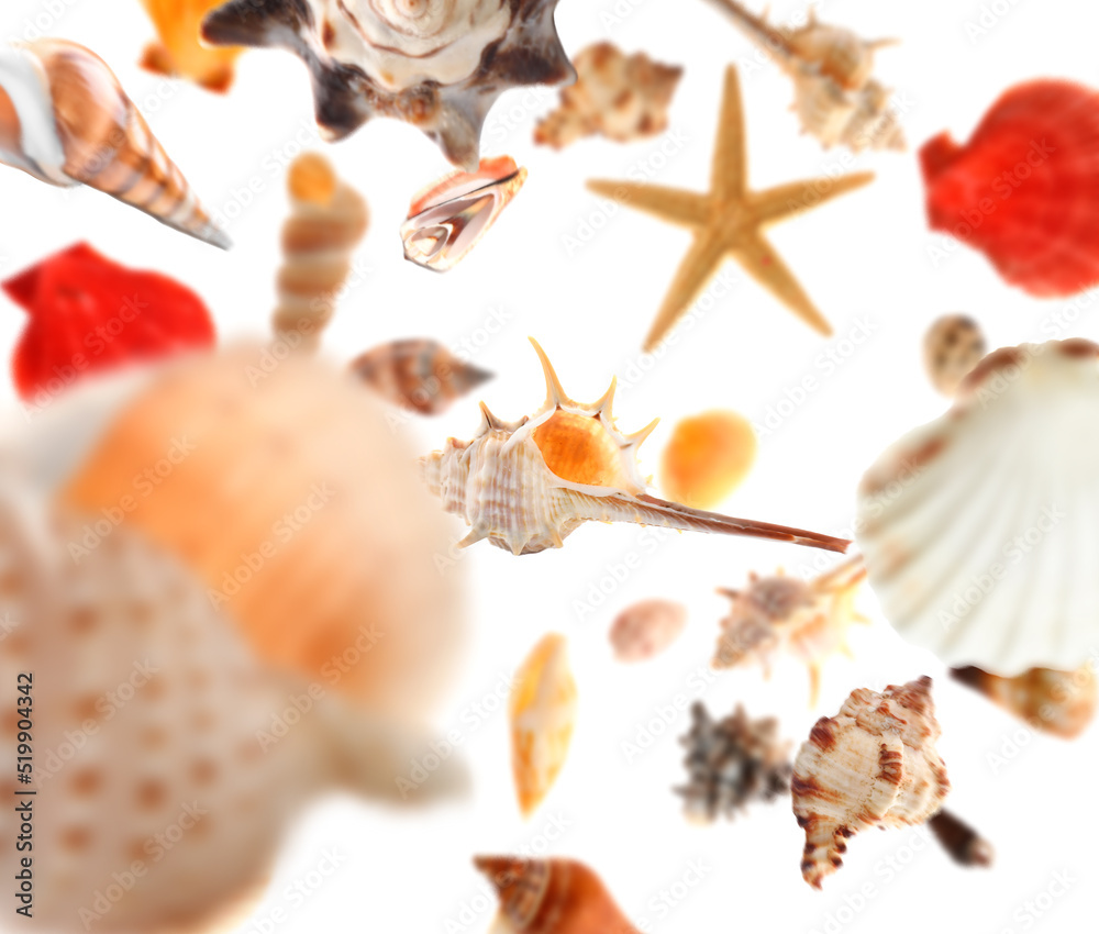 Many falling sea shells on white background