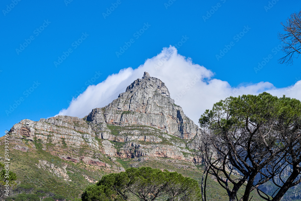 桌山的景观、山脉和蓝天，环境中有复制空间、云朵和树木