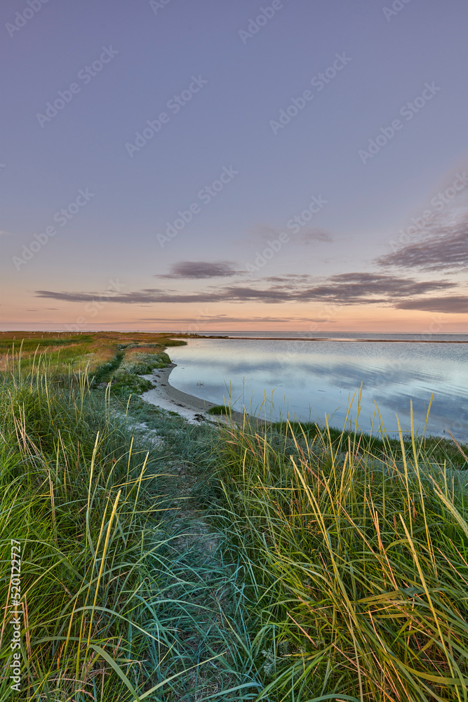 Landscape of sea, lake or lagoon against sunset sky background with copy space. Gulf with reeds and 