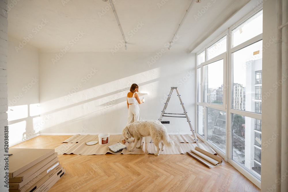 Woman with her dog paints the wall in white color, making repairment in newly purchased apartment. R