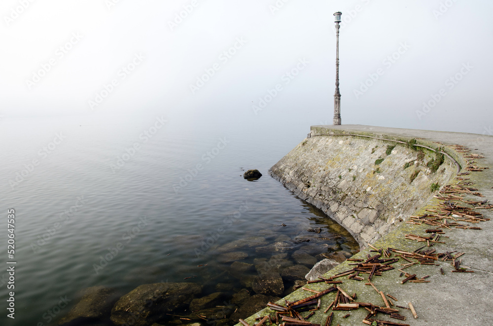 Schweiz Murtensee Herbst的Hafenmole bei Nebel