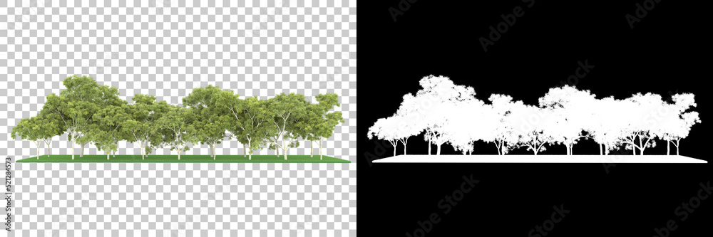 使用遮罩在背景上隔离的森林。3d渲染-插图