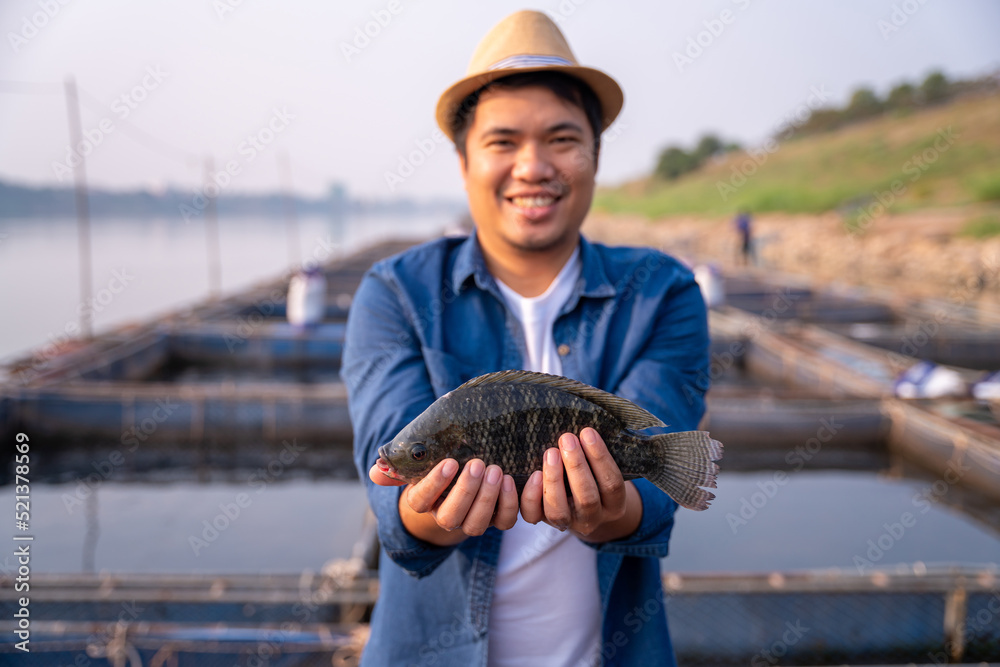 养殖户掌握优质罗非鱼产量，保证有机生物养殖的完整性