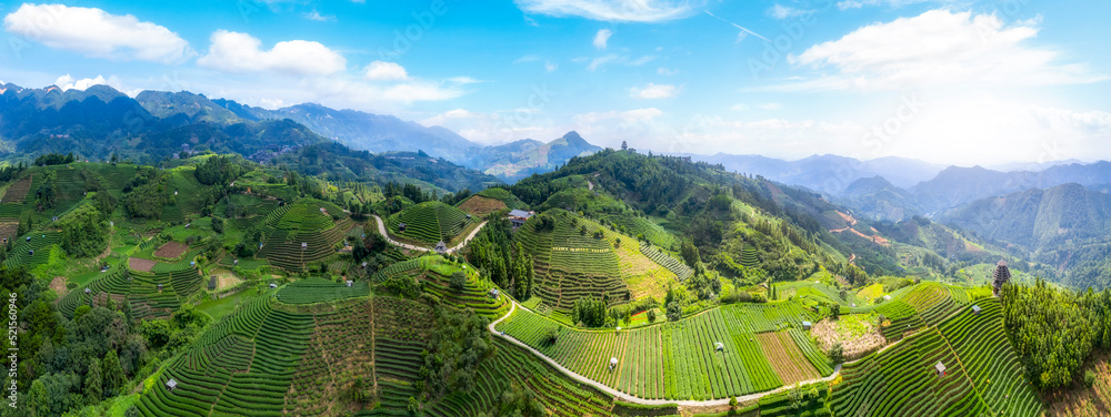 航拍三江布阳-仙人高山生态茶园