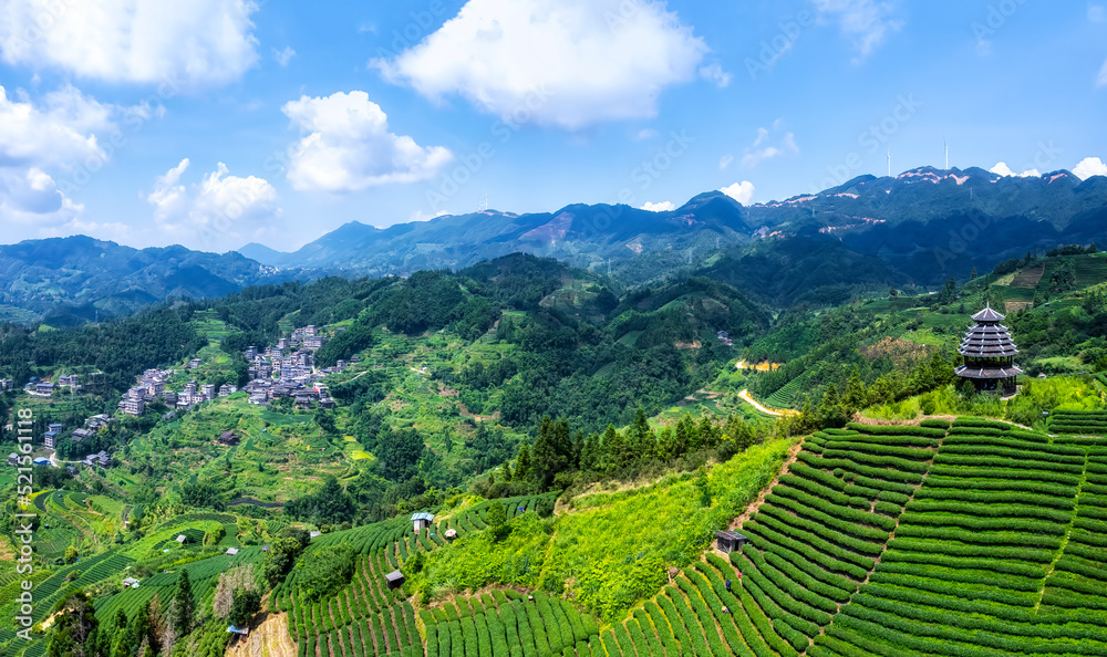 空中拍摄三江布阳-仙人高山生态茶园