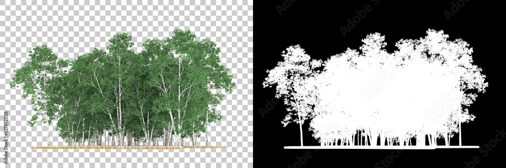 森林在背景上被隔离，带有遮罩。三维渲染-插图