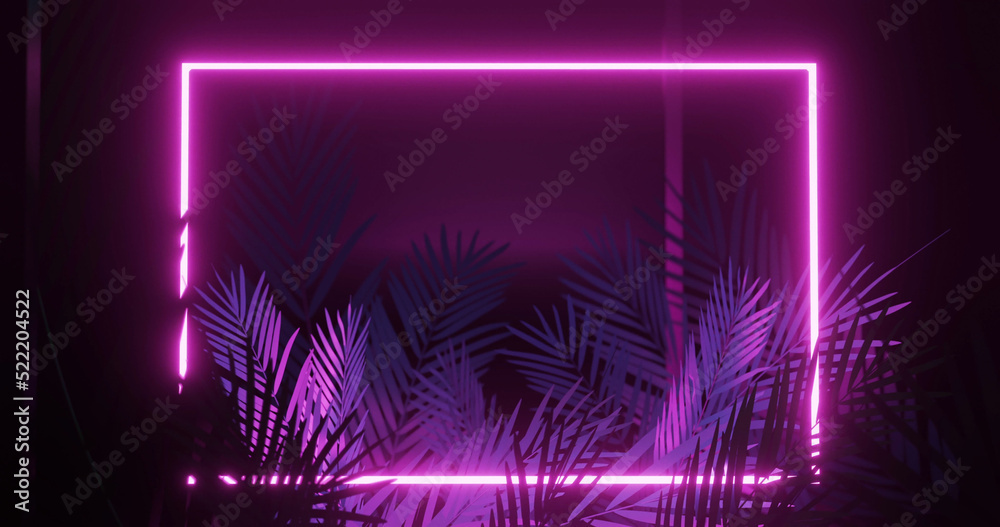 Image of leaves over pink neon rectangle on black background