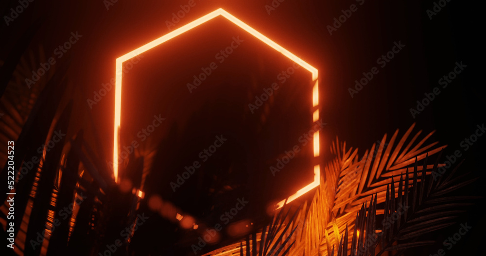 Image of leaves over orange neon hexagon on black background