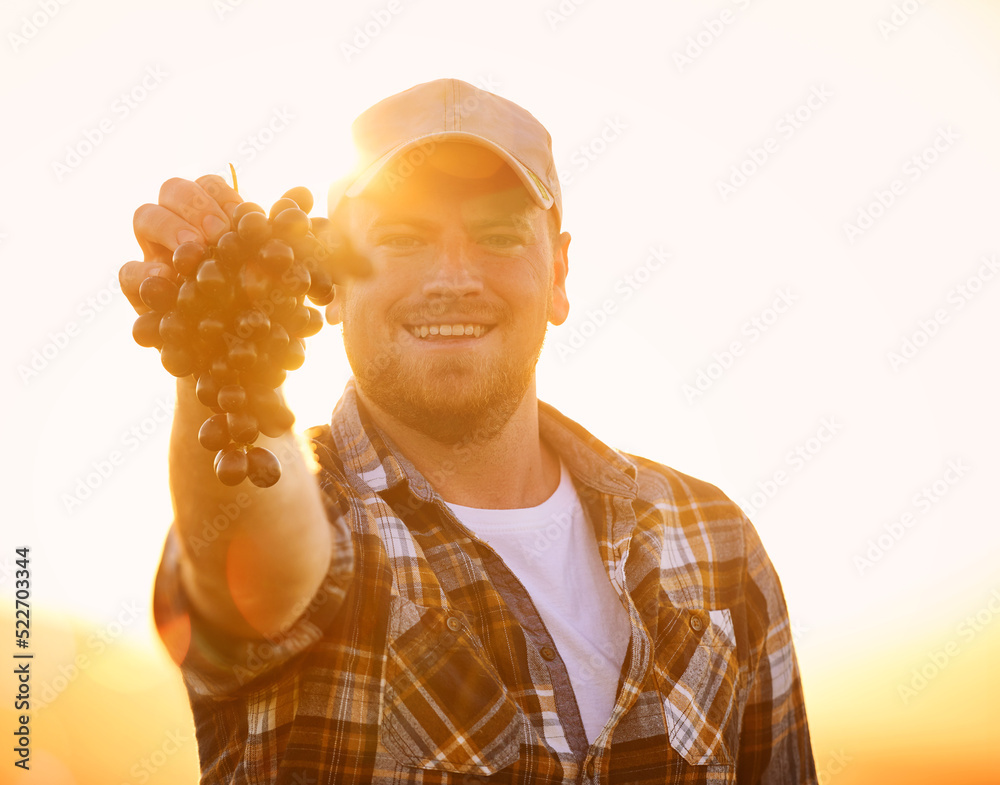 Portrait of a happy farmer holding up a bunch of grapes, excited and happy with organic fruit. Young