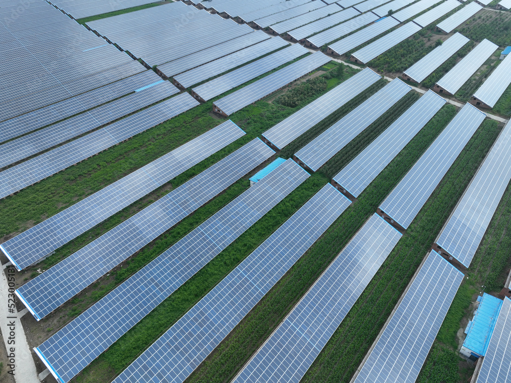 solar panels in farm