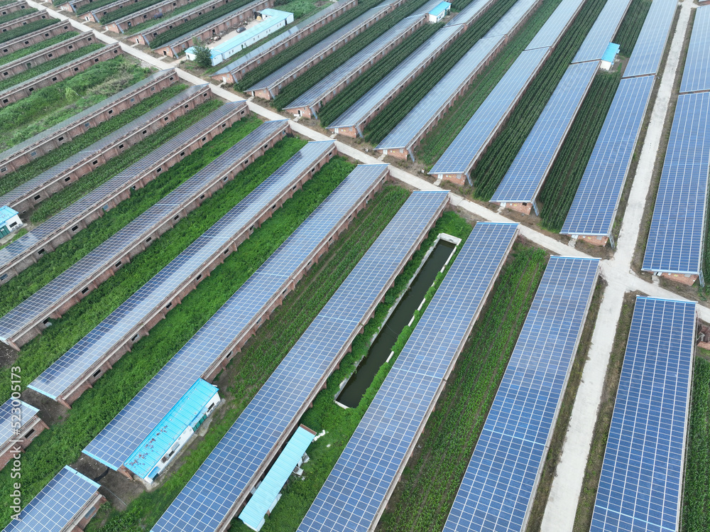 solar panels with farm