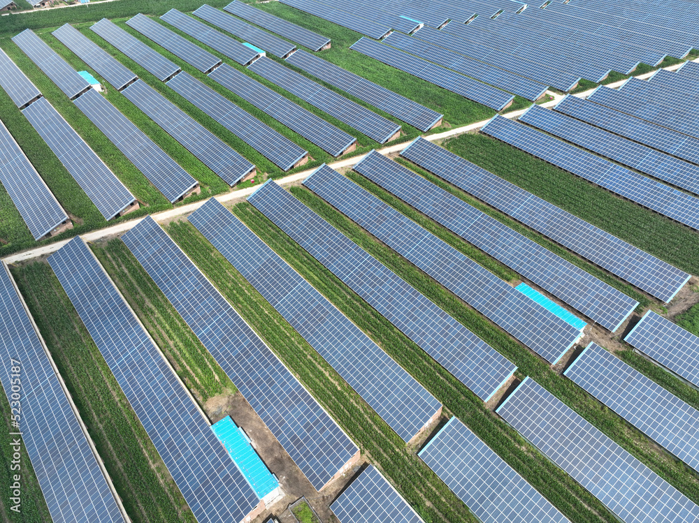 solar panels in farm