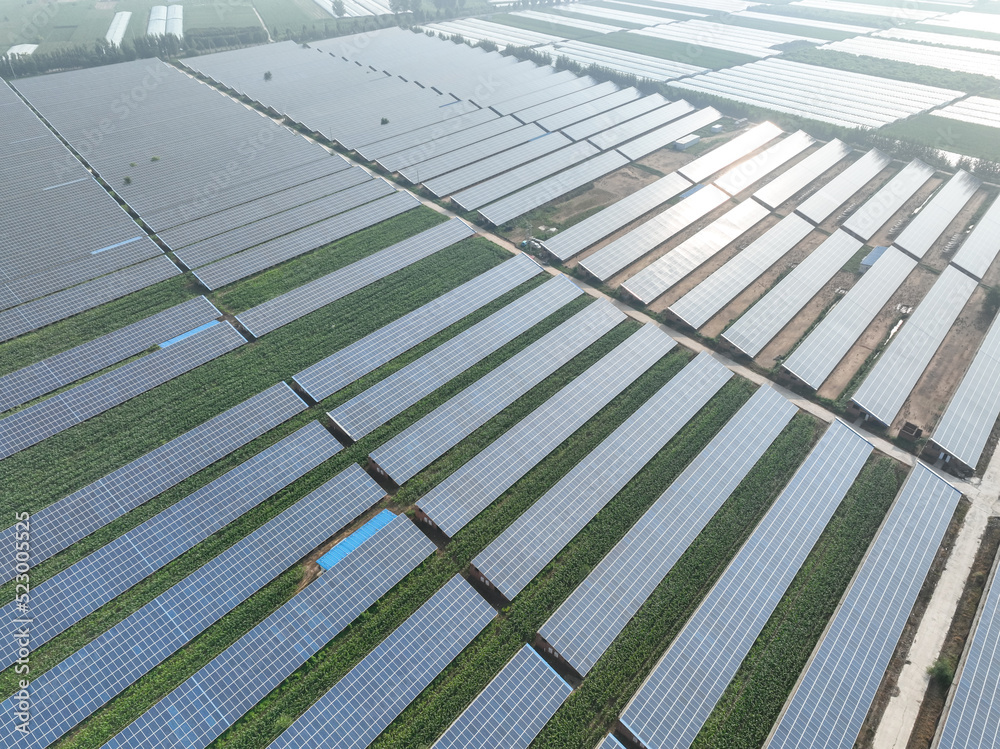 solar panels in farm