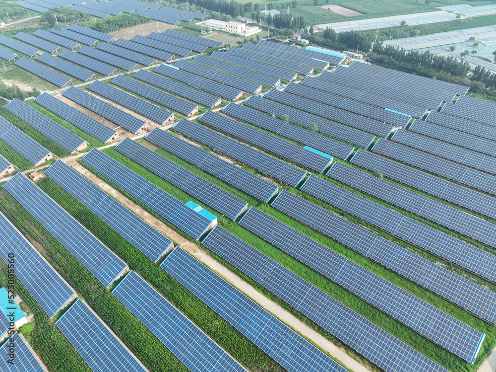 solar panels in farm