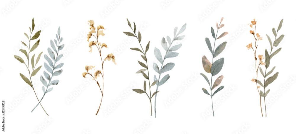 Watercolor vector set of autumn branches isolated on a white background.