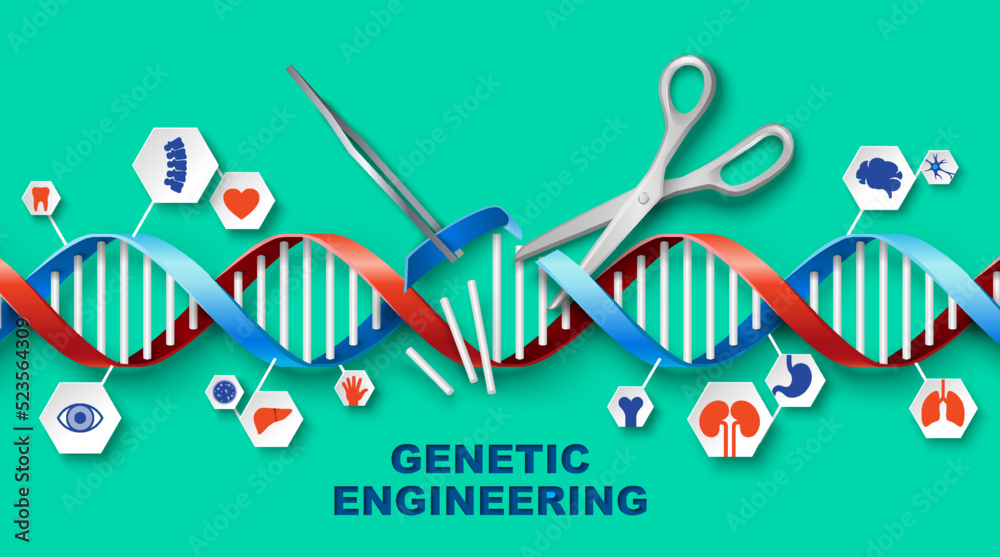 带有DNA的基因工程载体医学海报