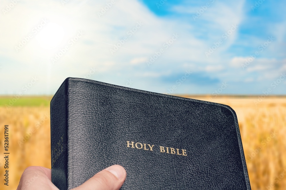 Human hand holds a Holy Bible Book on a ripe barley field in the summer harvest season.