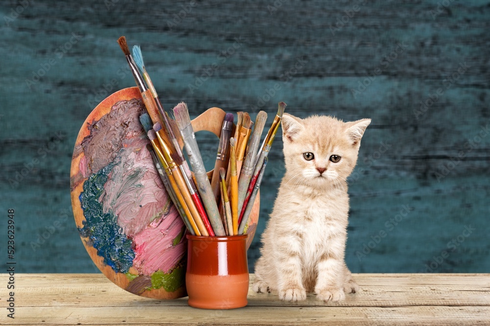 Set of paint brushes and a cute kitten on background