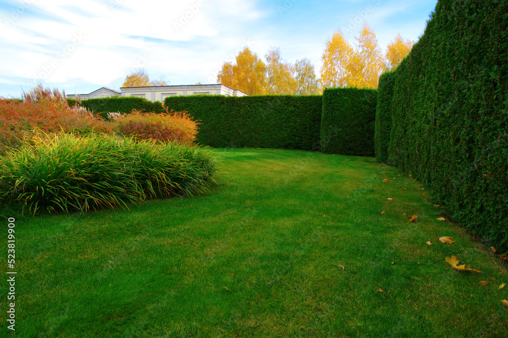 Autumn garden with green grass, trees and plants