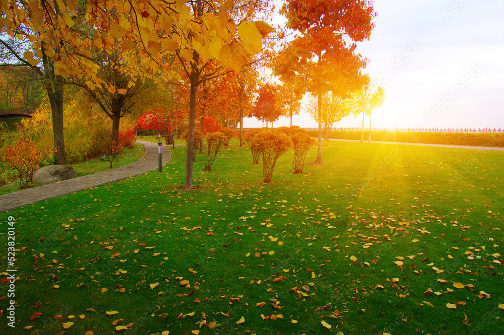 Autumn park with colorful fall foliage