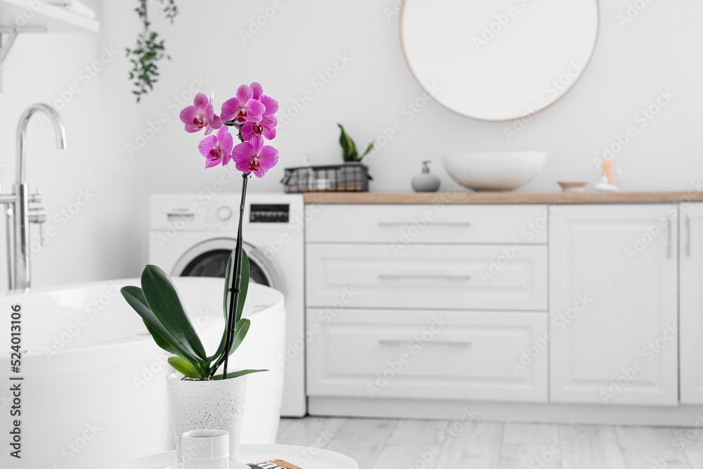 Orchid flower and cup of coffee on table in bathroom interior