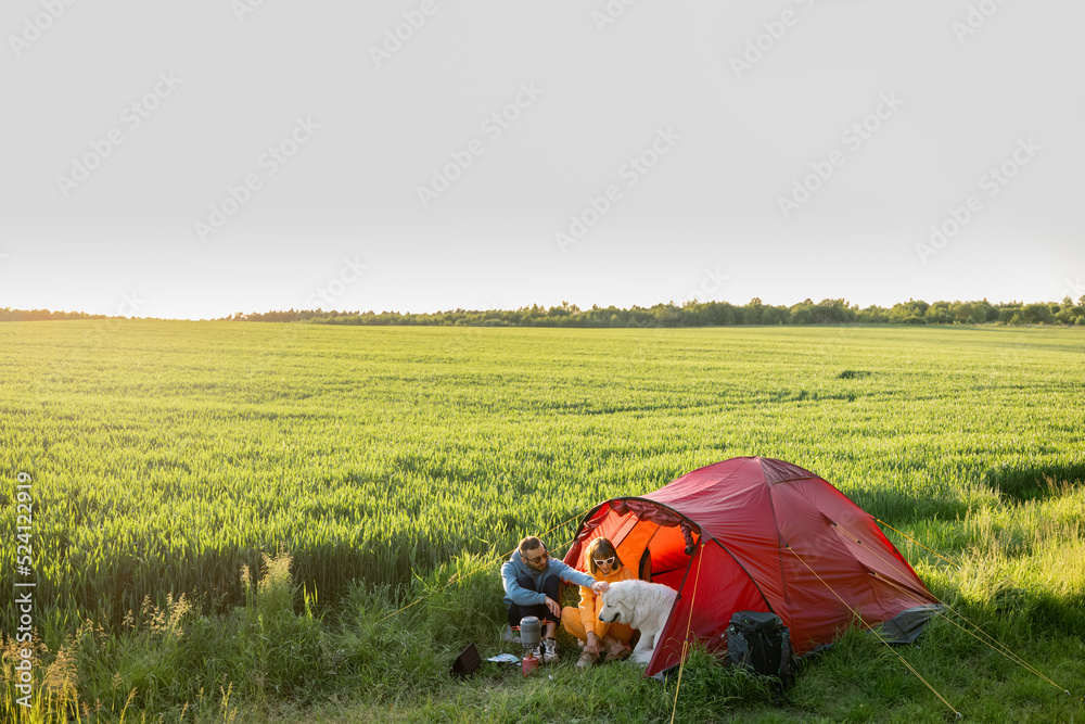 Couple spending summer time with a dog at campsite on the green field. Wide view on beautiful wheatf