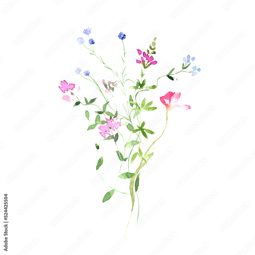 水彩野花花束插图。手绘。春季植物印花。质朴的我们