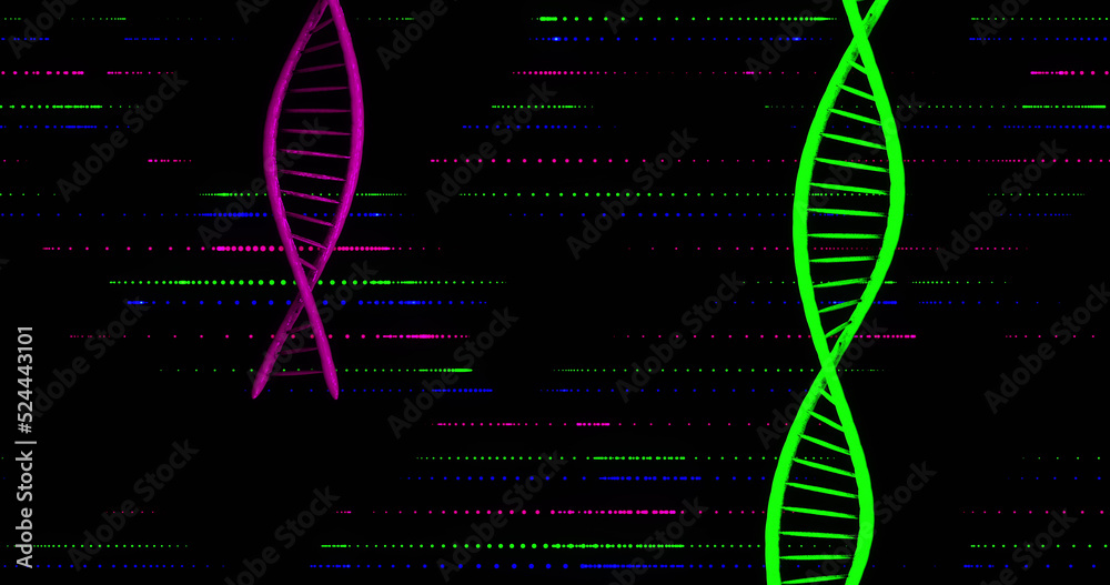 黑色背景下的dna链图像