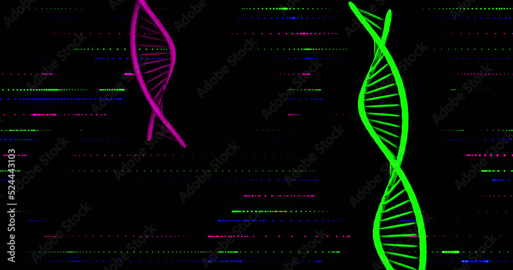 黑色背景下的dna链图像