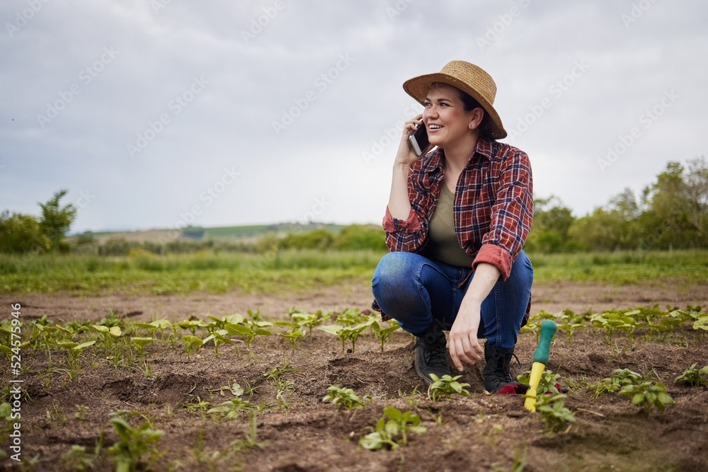 Agriculture farmer talking or networking on phone, happy with success or small business growth on a 