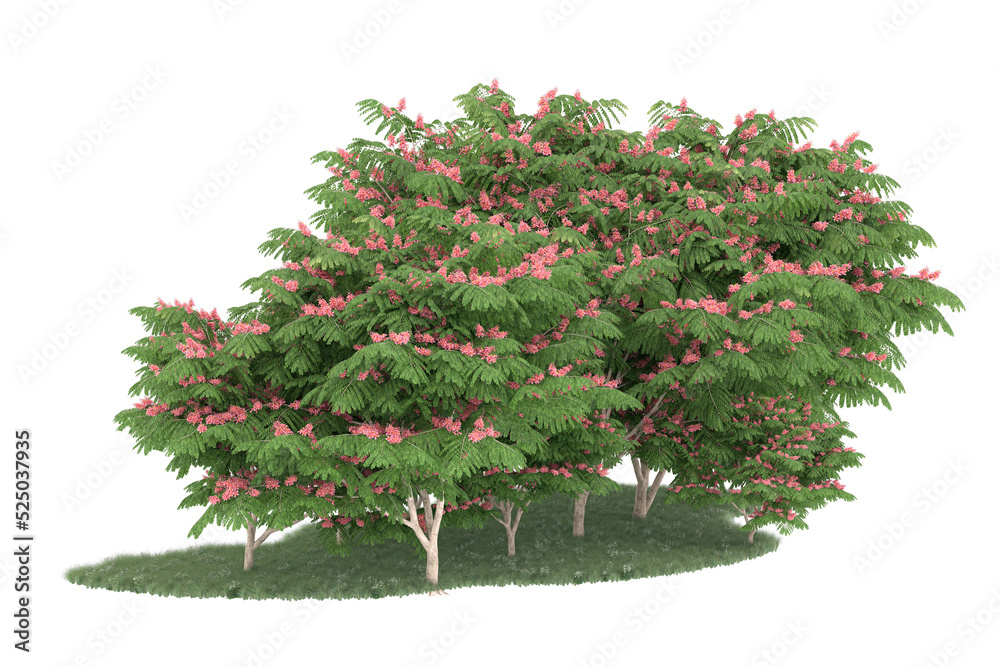 Forest on transparent background. 3d rendering - illustration