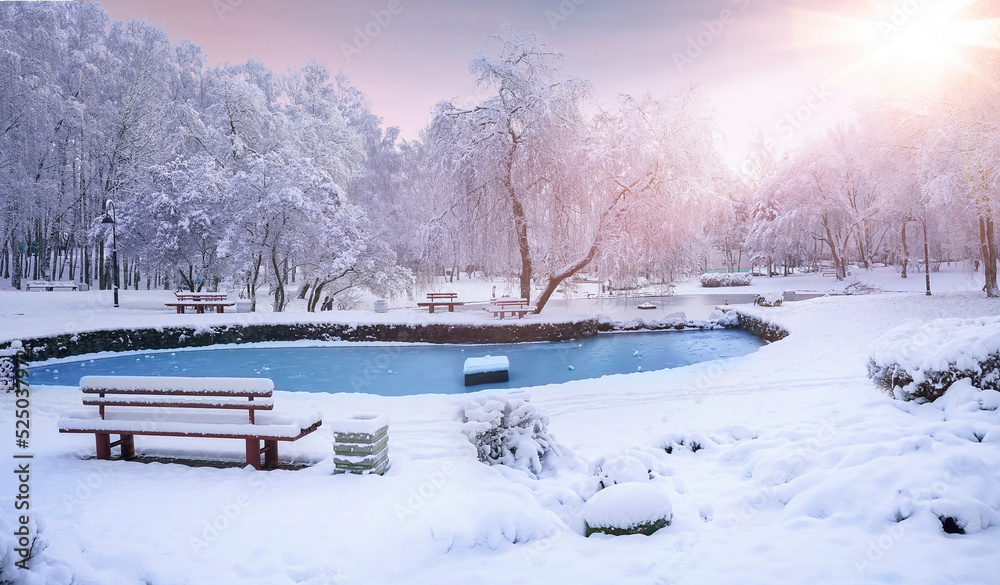 美丽的自然傍晚全景雪覆盖的城市公园，有霜冻覆盖的树木、长椅和青蛙