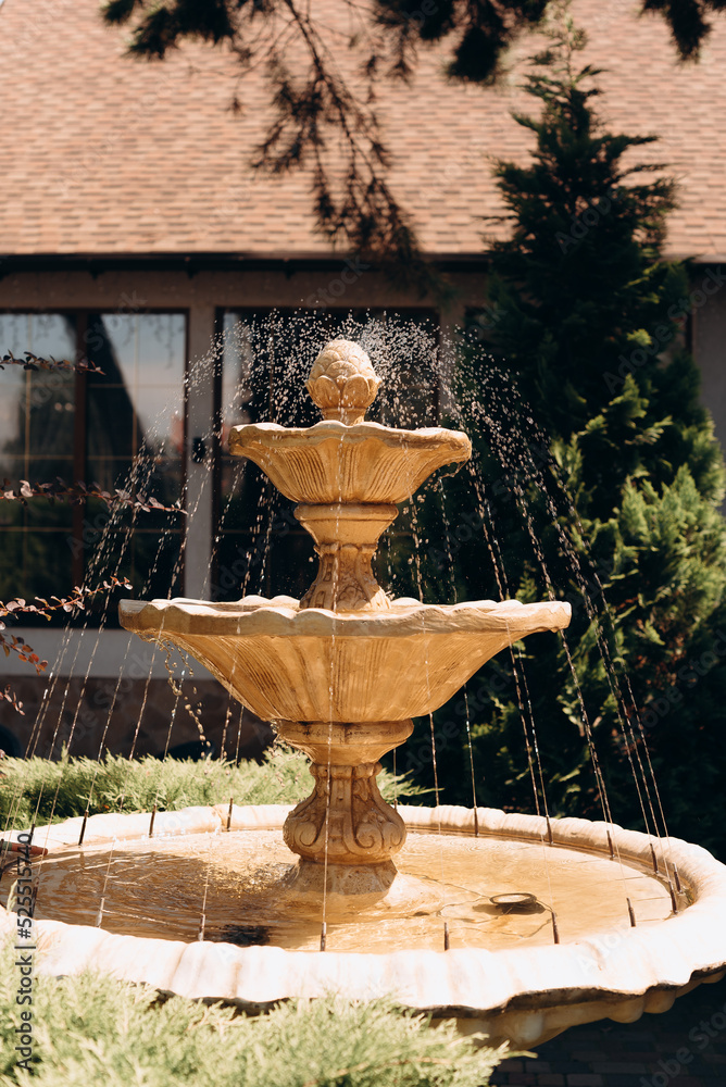 fountain in the garden