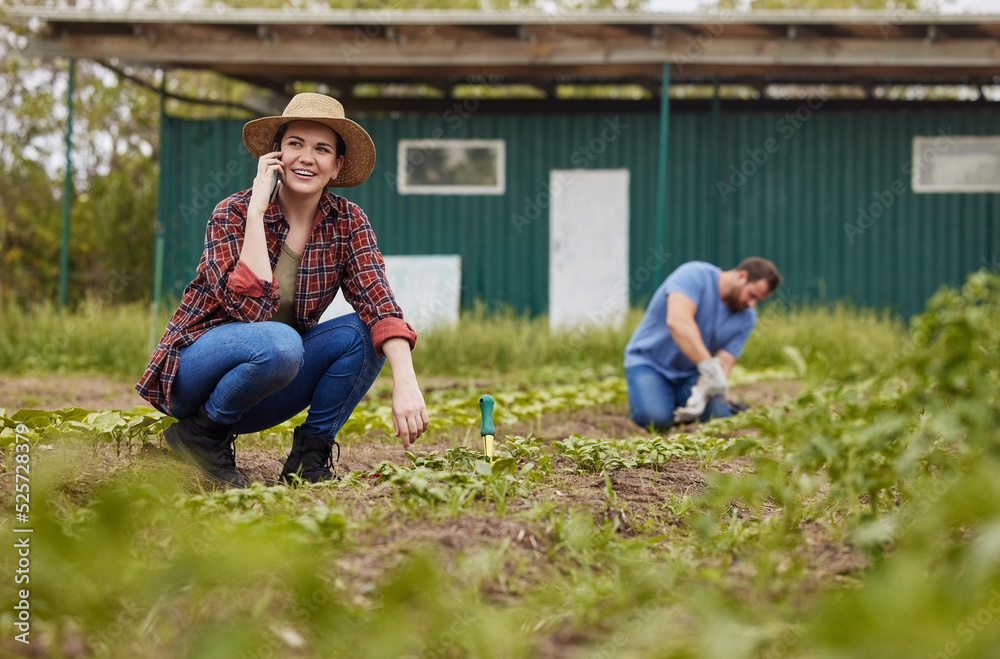 Agriculture, nature and sustainability farmer on phone call, working on farm with husband. Happy fem